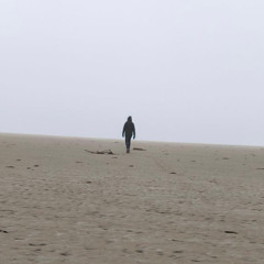 Hendrik Thomas - Stomping Stellendam