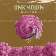 Premiere : Unknown - PMAMI (Memory Remains)
