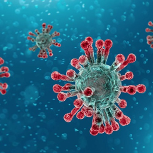 Webster World Report: Coronavirus Special, April 24, 2020