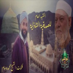 النشيد العام للطريقة الصديقية " راية الصديقية " جزء سيدي علي جمعة رضي الله عنه أداء  عبدالله بكير و أحمد الهاشمي