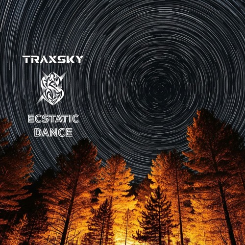 Traxsky @ Ecstatic Dance (UK) - 08