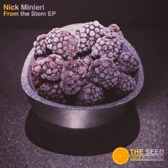 Nick Minieri - Get To Work [The Seed Underground] [MI4L.com]