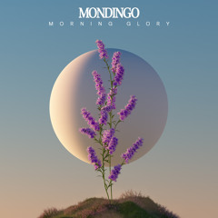 Mondingo x Monoko - Morning Glory