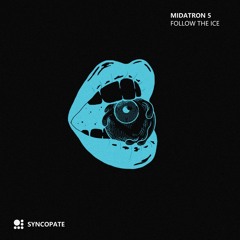 Follow the Ice (Original Mix)