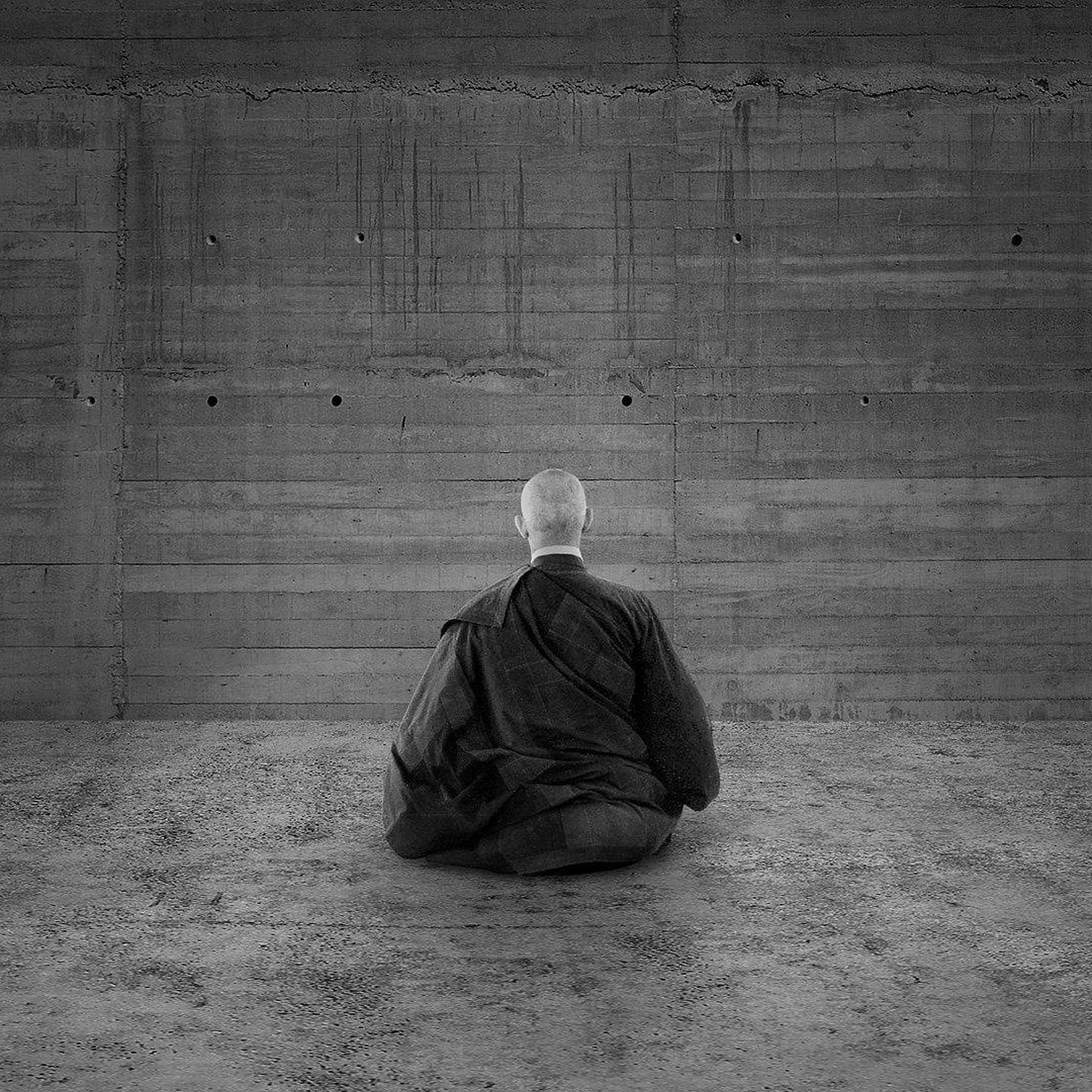 The Chinese Unconscious: A Lacanian Reading (feat. Ayoto Ataraxia) episode artwork