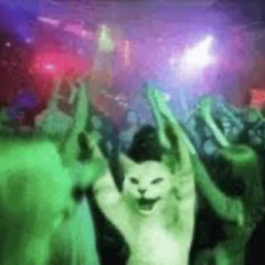 I Just Wanna Feel This Moment