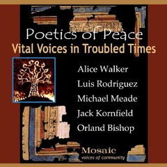 READ [EPUB KINDLE PDF EBOOK] Vital Voices in Troubled Times by  Alice Walker,Michael Meade,Luis Rodr