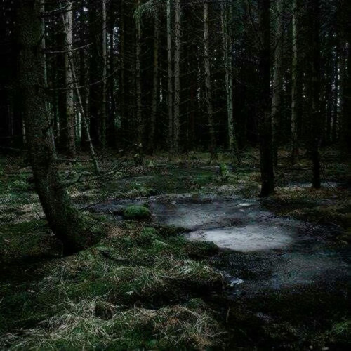 August Sample 1/1 2024 (Prod.Djae1k)