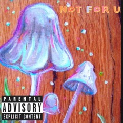 Not For U (Feat. Mat Jones) [Prod. Fantom]