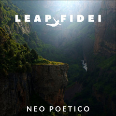 11 Les Toits De Paris