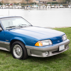 my father has the body of a fox, i have the mind of one