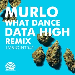 Murlo - What Dance (Data High Remix)