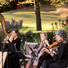 Clocks, Coldplay - Live Bridgerton-Inspired String Quintet - Two Violins, Viola, Cello, + Harp