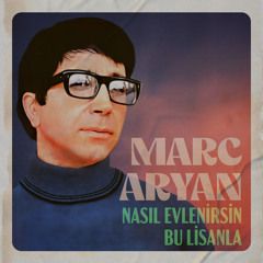 Nasıl Evlenirsin Bu Lisanla