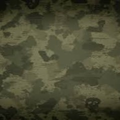 U.S army playlist (bc i luv em)