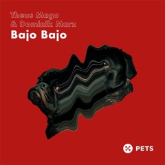 PREMIERE - Theus Mago & Dominik Marz - Instant Dog  (Pets Recordings)