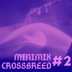 MINIMIX  CROSSBREED-2-REC-2025-09-14