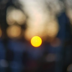 Gifts from the winter sun