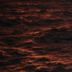 Maroon Seas