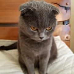 TRUE JESTER HARDTEKK (Super Slowed) - DJ BEATCOIN