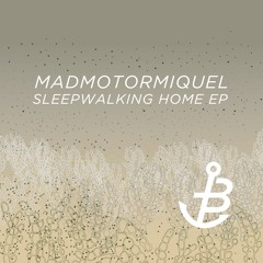 Madmotormiquel - Sleepwalker (Iorie's Lost Dream Remix)(Snippet)