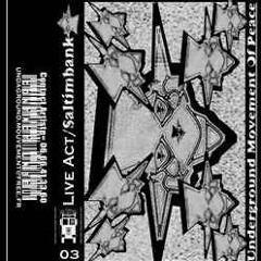 Saltimbank(Acidupdub) - Live Act 03(2002)