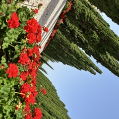 Baháʼí