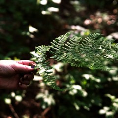 W I P ' s  &  i d e a s