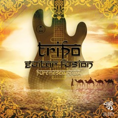 Tripo - Guitar Fusion (PureMesca Remix) *Alien Records*
