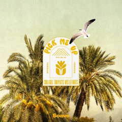 Chill Gull, Tom Platts & Wes Lee Wates - Pick Me Up