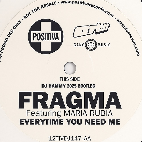 Fragma - Everytime You Need Me (DJ Hammy 2025 Bootleg)