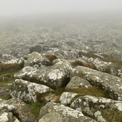 Shadowmaker (Original Mix)