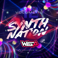 SYNTH NATION VOL 12