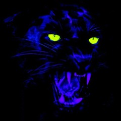 YNGVII MUSIC - PREZIDENTIAL TRAPAC - FUNSESH V1 - Come Closer 1