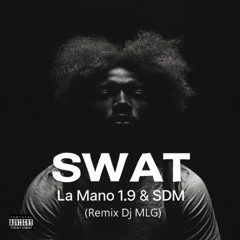 SWAT - La Mano 1.9 & SDM ( Remix Dj MLG ) FILTRER