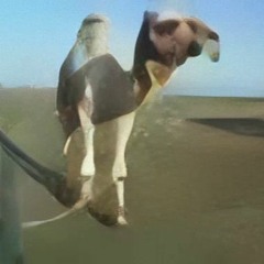 Klezmer Camel