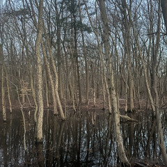 Park(tape version)-D33J