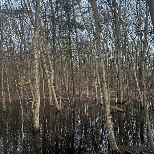 Park(tape version)-D33J