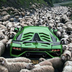 onsumnewshi interlude