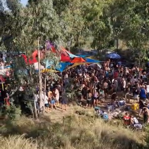 dragonfly festival in the forest **4.5.24