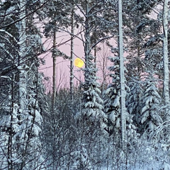 Sweet Blip 2.0 (garageband iphone 11 pro)