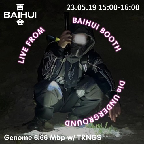 Genome 6.66 Mbp w/ TRNGS on Baihui Radio
