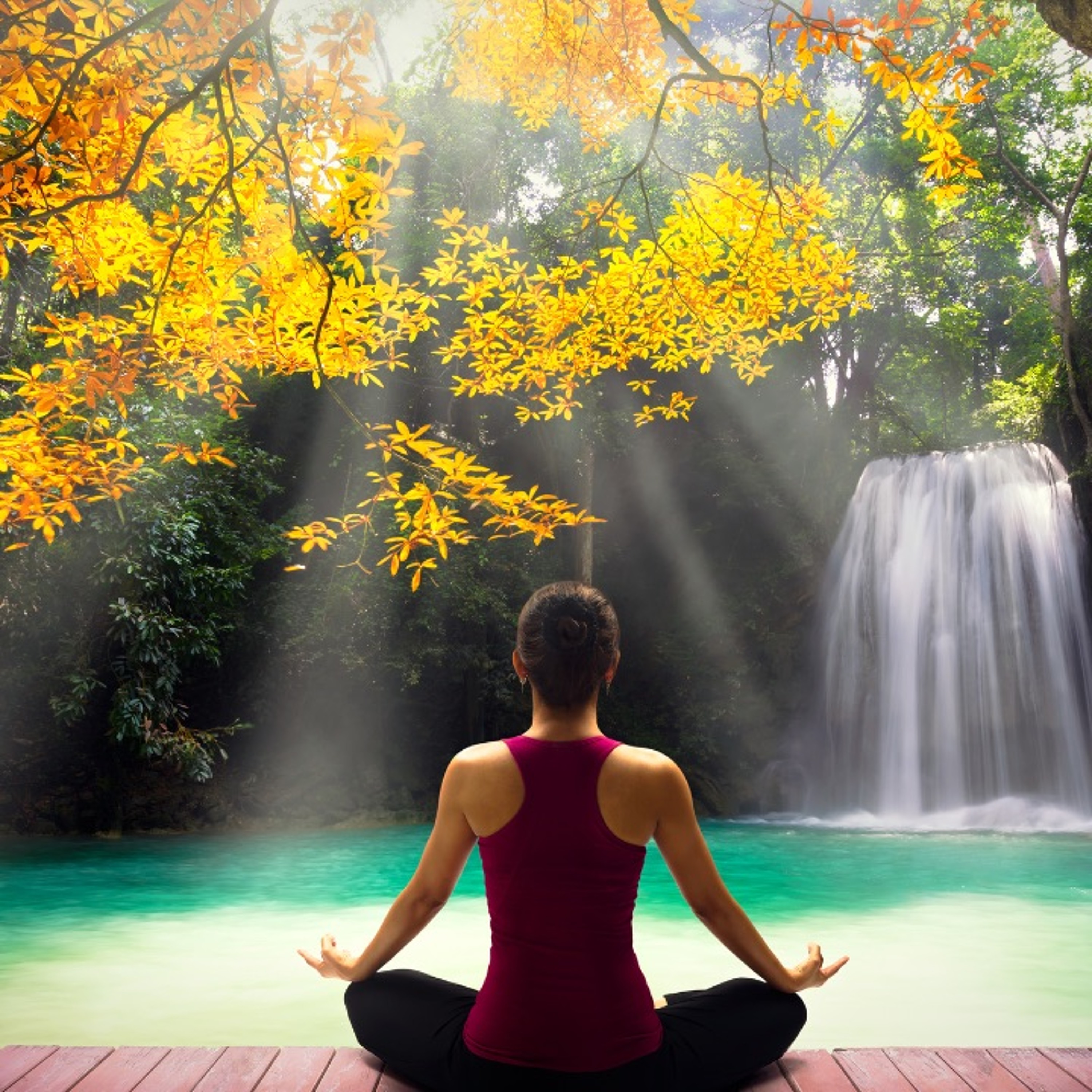 How to Quit your Job & Teach Meditation Full Time! episode artwork