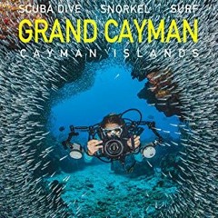 READ EPUB KINDLE PDF EBOOK Reef Smart Guides Grand Cayman: (Best Diving Spots) by  Peter McDougall,I