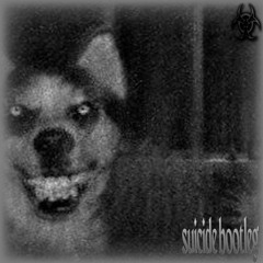 SUICIDE BOOTLEG (OUT ON ALL PLATFORMS)