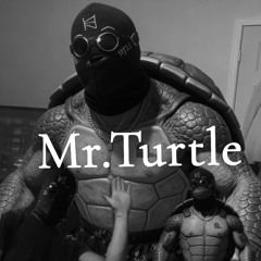 Mr.Turtle
