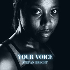 Your Voice (Radio Edit)
