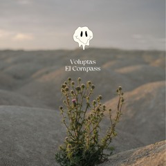 VOLUPTAS - El Compass (Switch Records)