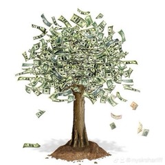 Nysir Shariff - $$$ Tree