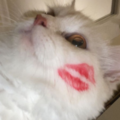 ويلي طلع جذاب ماعنده اي احباب💔